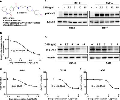 Bioactive compound C498-0670 alleviates LPS-induced sepsis via JAK/STAT and NFκB signaling pathways